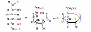 glucopiranosio - Bald Mountain Science