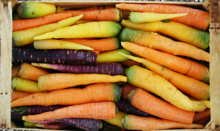 Carota: Proprietà E Benefici - Bald Mountain Science