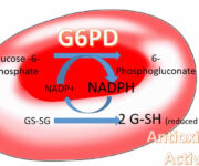 g6pd-deficiency